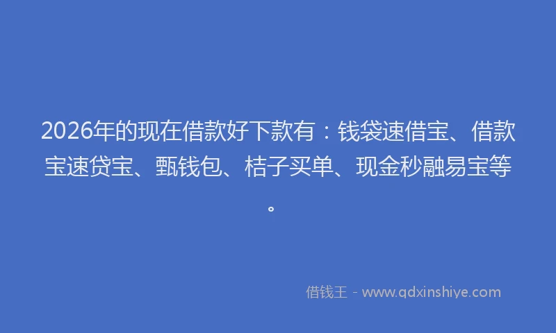 2026年的现在借款好下款有：钱袋速借宝、借款宝速贷宝、甄钱包、桔子买单、现金秒融易宝等。