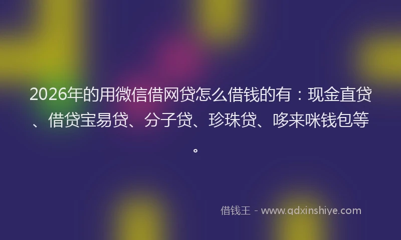 2026年的用微信借网贷怎么借钱的有：现金直贷、借贷宝易贷、分子贷、珍珠贷、哆来咪钱包等。