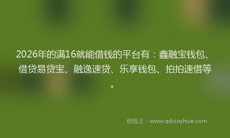 2026年的满16就能借钱的平台有：鑫融宝钱包、借贷易贷宝、融逸速贷、乐享钱包、拍拍速借等。