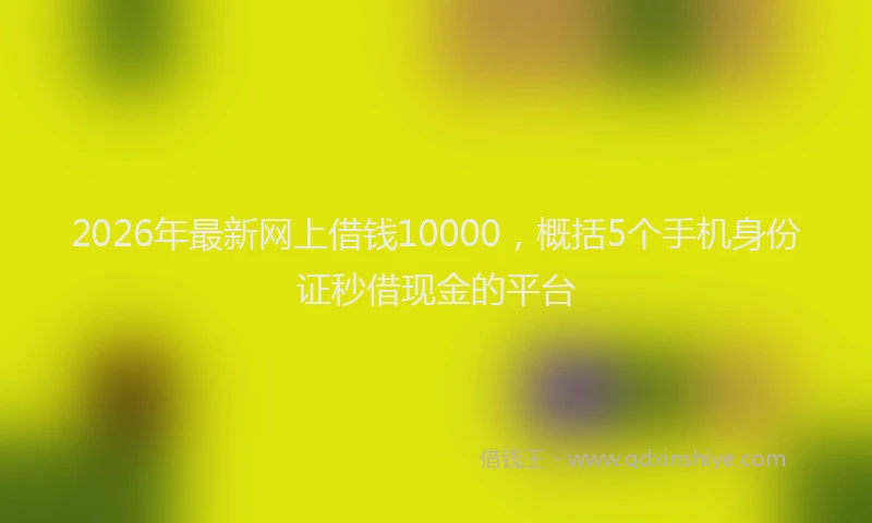 2026年最新网上借钱10000，概括5个手机身份证秒借现金的平台
