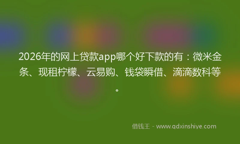 2026年的网上贷款app哪个好下款的有：微米金条、现租柠檬、云易购、钱袋瞬借、滴滴数科等。