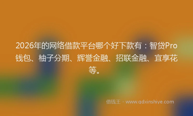2026年的网络借款平台哪个好下款有：智贷Pro钱包、柚子分期、辉誉金融、招联金融、宜享花等。