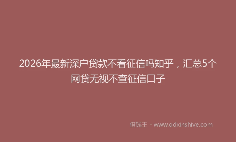 2026年最新深户贷款不看征信吗知乎，汇总5个网贷无视不查征信口子