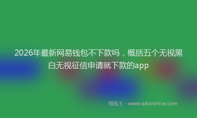 2026年最新网易钱包不下款吗，概括五个无视黑白无视征信申请就下款的app