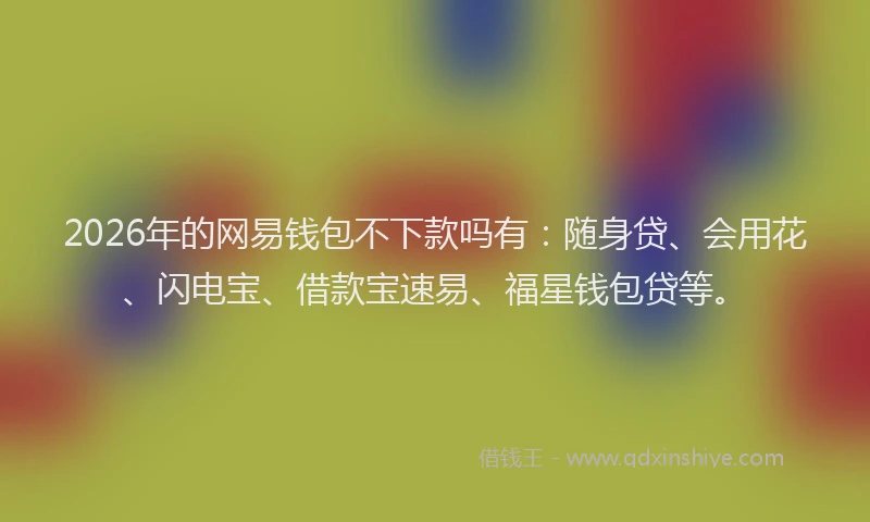 2026年的网易钱包不下款吗有：随身贷、会用花、闪电宝、借款宝速易、福星钱包贷等。