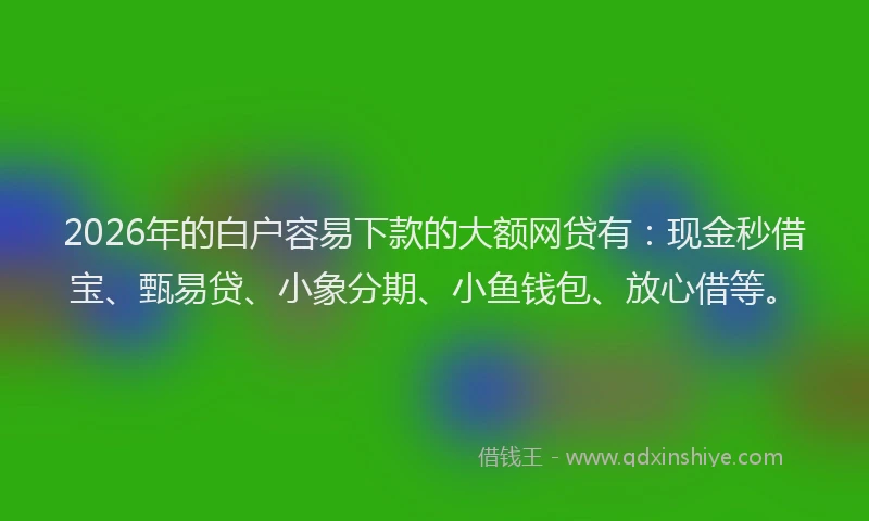 2026年的白户容易下款的大额网贷有：现金秒借宝、甄易贷、小象分期、小鱼钱包、放心借等。