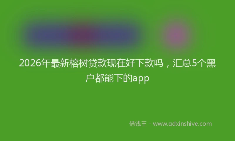 2026年最新榕树贷款现在好下款吗，汇总5个黑户都能下的app
