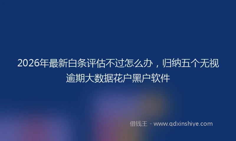 2026年最新白条评估不过怎么办，归纳五个无视逾期大数据花户黑户软件