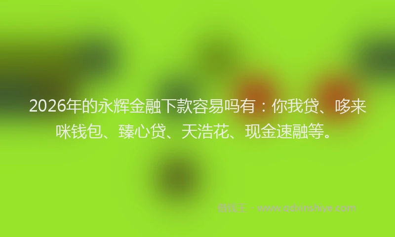 2026年的永辉金融下款容易吗有：你我贷、哆来咪钱包、臻心贷、天浩花、现金速融等。
