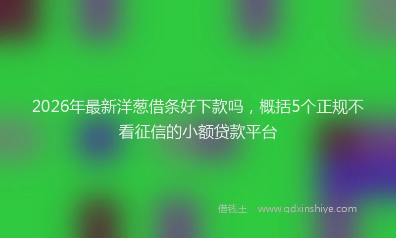 2026年最新洋葱借条好下款吗，概括5个正规不看征信的小额贷款平台