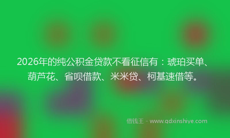 2026年的纯公积金贷款不看征信有：琥珀买单、葫芦花、省呗借款、米米贷、柯基速借等。