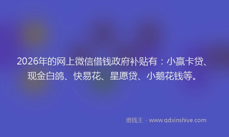 2026年的网上微信借钱政府补贴有：小赢卡贷、现金白鸽、快易花、星愿贷、小鹅花钱等。