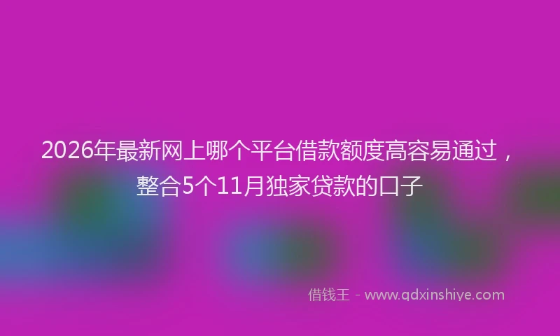 2026年最新网上哪个平台借款额度高容易通过，整合5个11月独家贷款的口子