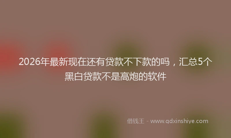2026年最新现在还有贷款不下款的吗，汇总5个黑白贷款不是高炮的软件