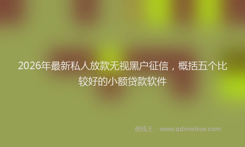 2026年最新私人放款无视黑户征信，概括五个比较好的小额贷款软件