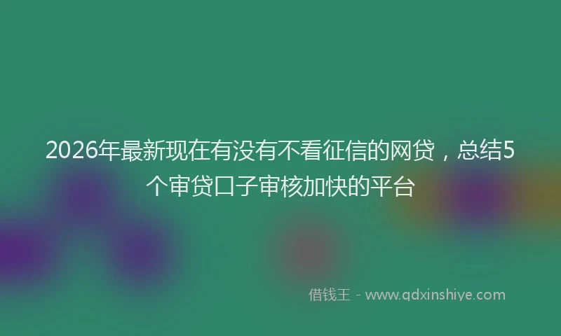 2026年最新现在有没有不看征信的网贷，总结5个审贷口子审核加快的平台