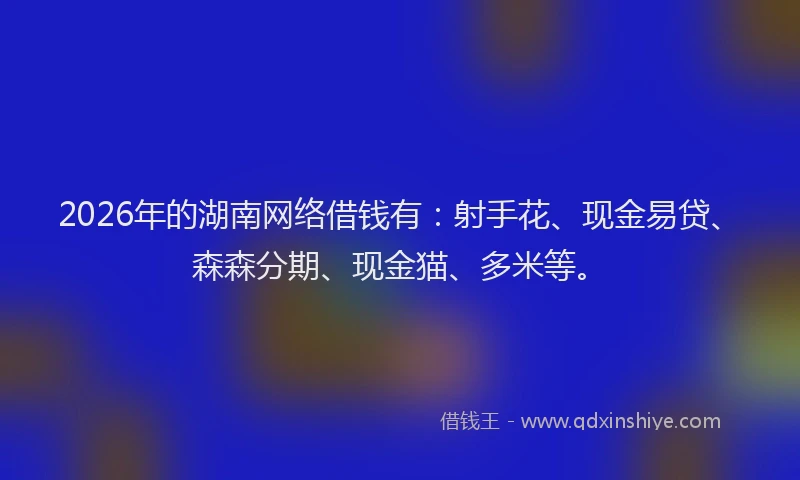 2026年的湖南网络借钱有：射手花、现金易贷、森森分期、现金猫、多米等。