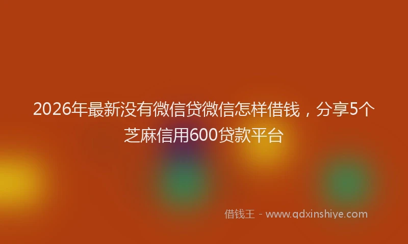 2026年最新没有微信贷微信怎样借钱，分享5个芝麻信用600贷款平台