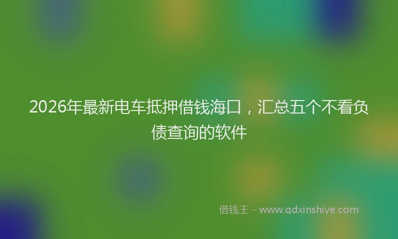2026年最新电车抵押借钱海口，汇总五个不看负债查询的软件