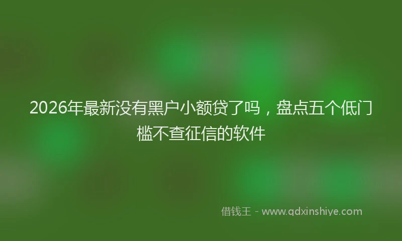 2026年最新没有黑户小额贷了吗，盘点五个低门槛不查征信的软件