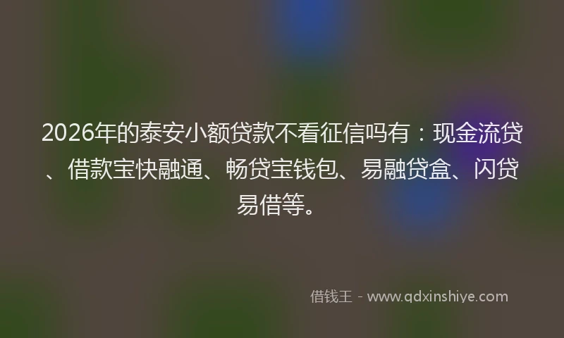 2026年的泰安小额贷款不看征信吗有：现金流贷、借款宝快融通、畅贷宝钱包、易融贷盒、闪贷易借等。