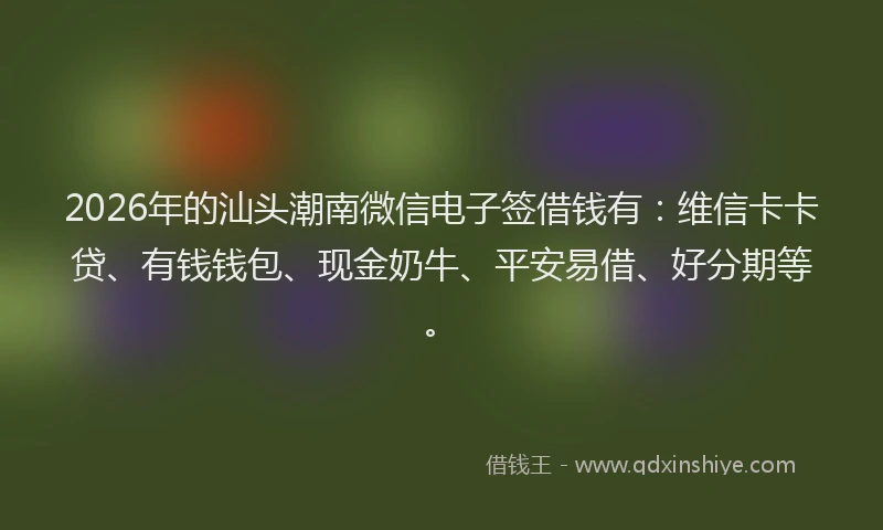 2026年的汕头潮南微信电子签借钱有：维信卡卡贷、有钱钱包、现金奶牛、平安易借、好分期等。