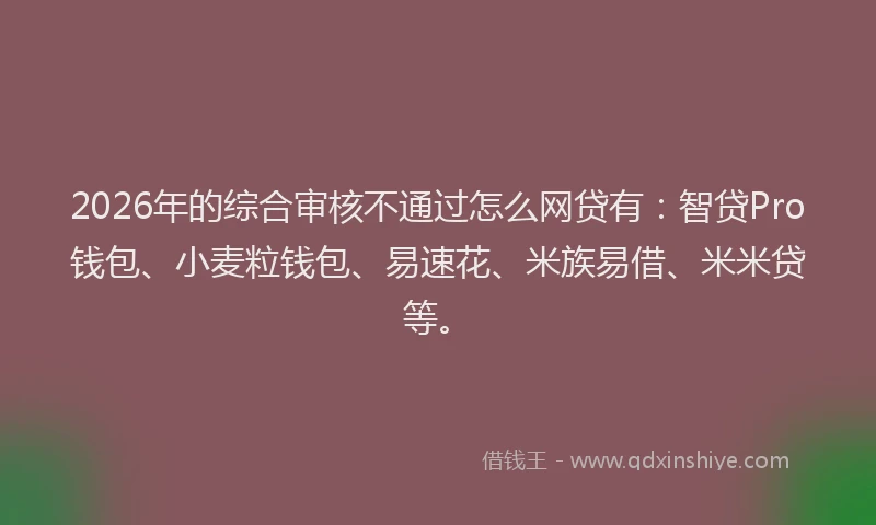 2026年的综合审核不通过怎么网贷有：智贷Pro钱包、小麦粒钱包、易速花、米族易借、米米贷等。