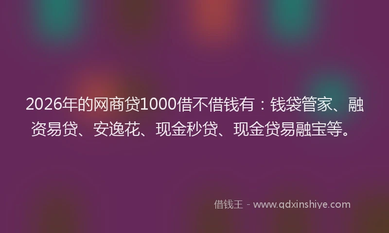 2026年的网商贷1000借不借钱有：钱袋管家、融资易贷、安逸花、现金秒贷、现金贷易融宝等。