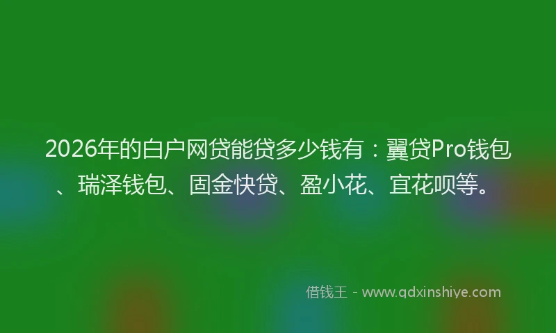 2026年的白户网贷能贷多少钱有：翼贷Pro钱包、瑞泽钱包、固金快贷、盈小花、宜花呗等。