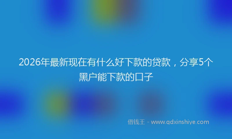 2026年最新现在有什么好下款的贷款，分享5个黑户能下款的口子