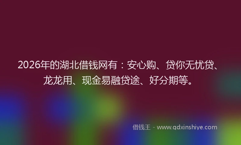 2026年的湖北借钱网有：安心购、贷你无忧贷、龙龙用、现金易融贷途、好分期等。
