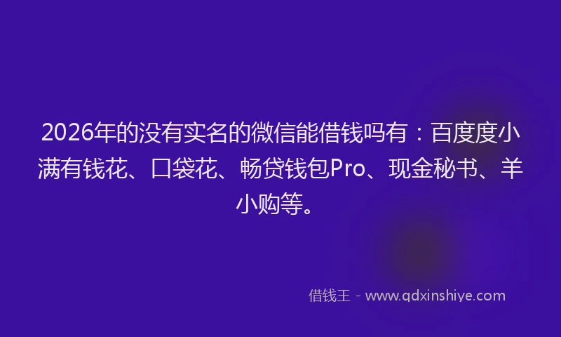 2026年的没有实名的微信能借钱吗有：百度度小满有钱花、口袋花、畅贷钱包Pro、现金秘书、羊小购等。
