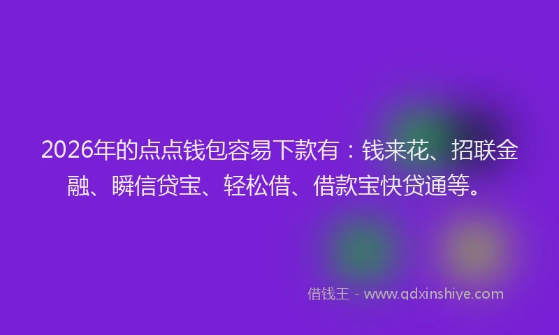 2026年的点点钱包容易下款有：钱来花、招联金融、瞬信贷宝、轻松借、借款宝快贷通等。