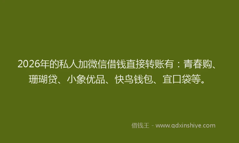 2026年的私人加微信借钱直接转账有：青春购、珊瑚贷、小象优品、快鸟钱包、宜口袋等。