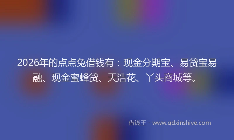2026年的点点兔借钱有：现金分期宝、易贷宝易融、现金蜜蜂贷、天浩花、丫头商城等。