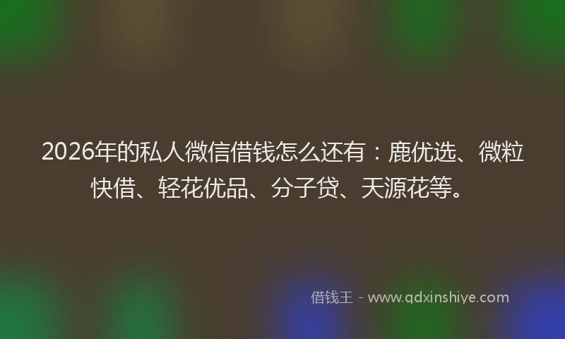 2026年的私人微信借钱怎么还有：鹿优选、微粒快借、轻花优品、分子贷、天源花等。