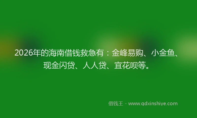 2026年的海南借钱救急有：金峰易购、小金鱼、现金闪贷、人人贷、宜花呗等。