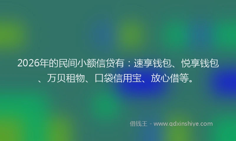 2026年的民间小额信贷有：速享钱包、悦享钱包、万贝租物、口袋信用宝、放心借等。