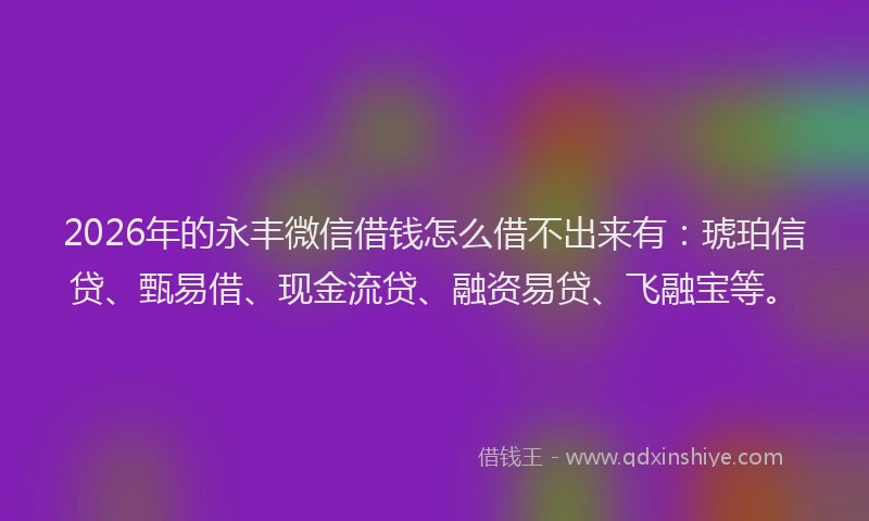 2026年的永丰微信借钱怎么借不出来有：琥珀信贷、甄易借、现金流贷、融资易贷、飞融宝等。