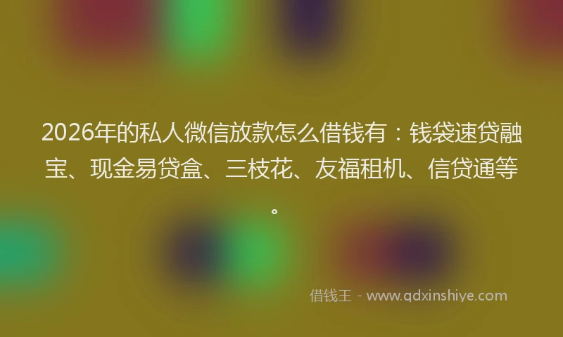 2026年的私人微信放款怎么借钱有：钱袋速贷融宝、现金易贷盒、三枝花、友福租机、信贷通等。