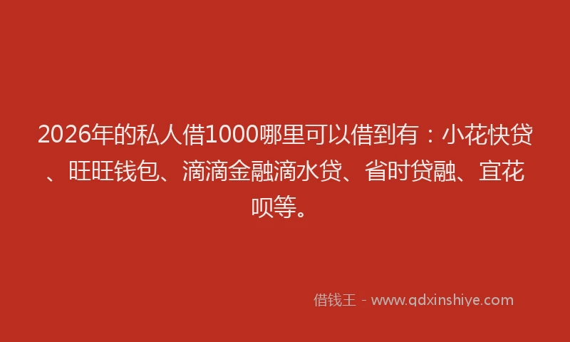 2026年的私人借1000哪里可以借到有：小花快贷、旺旺钱包、滴滴金融滴水贷、省时贷融、宜花呗等。