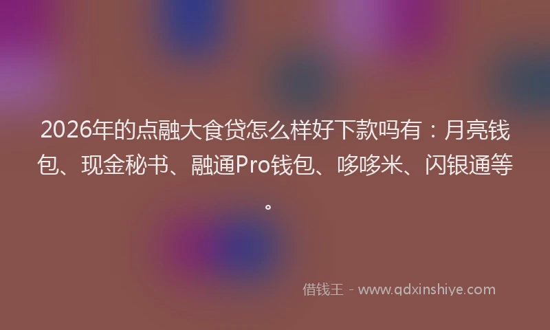 2026年的点融大食贷怎么样好下款吗有：月亮钱包、现金秘书、融通Pro钱包、哆哆米、闪银通等。
