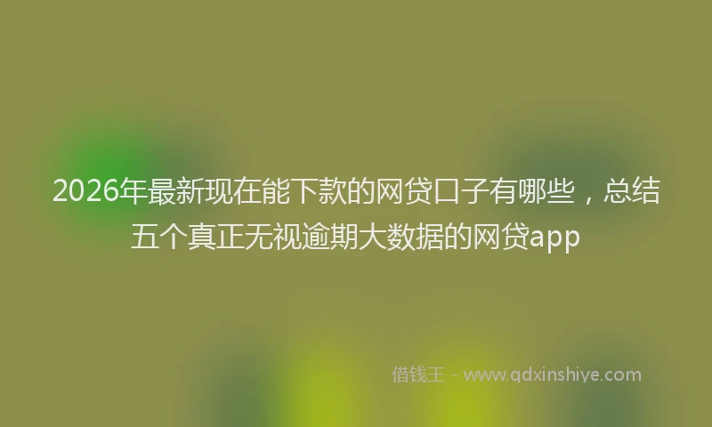 2026年最新现在能下款的网贷口子有哪些，总结五个真正无视逾期大数据的网贷app