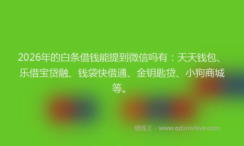 2026年的白条借钱能提到微信吗有：天天钱包、乐借宝贷融、钱袋快借通、金钥匙贷、小狗商城等。