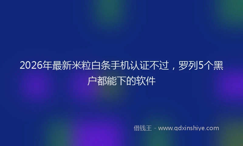 2026年最新米粒白条手机认证不过，罗列5个黑户都能下的软件