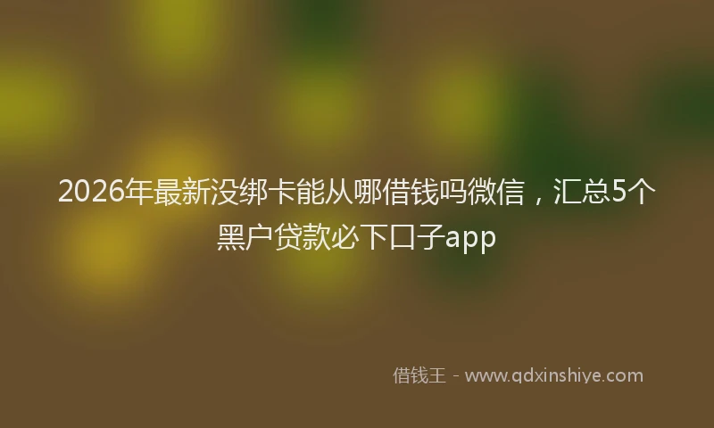 2026年最新没绑卡能从哪借钱吗微信，汇总5个黑户贷款必下口子app