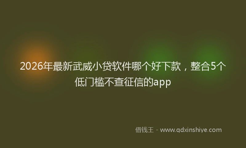 2026年最新武威小贷软件哪个好下款，整合5个低门槛不查征信的app