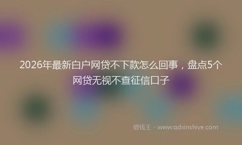 2026年最新白户网贷不下款怎么回事，盘点5个网贷无视不查征信口子