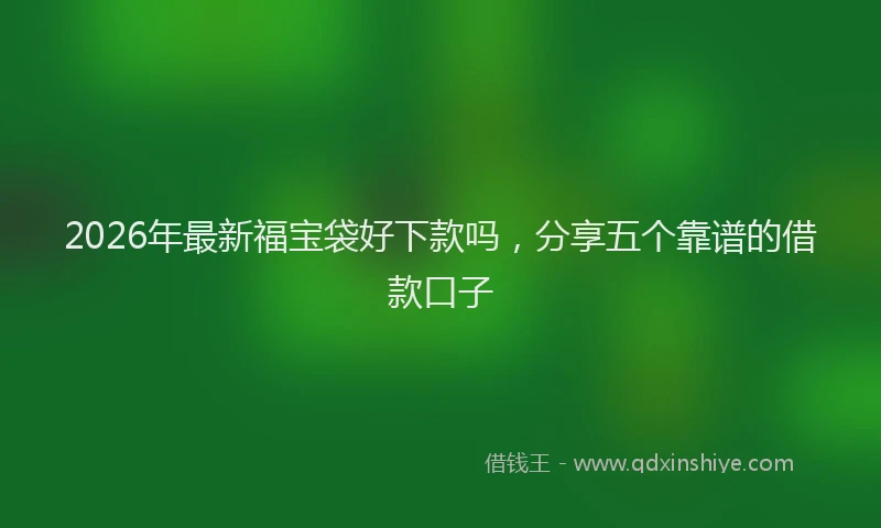 2026年最新福宝袋好下款吗，分享五个靠谱的借款口子