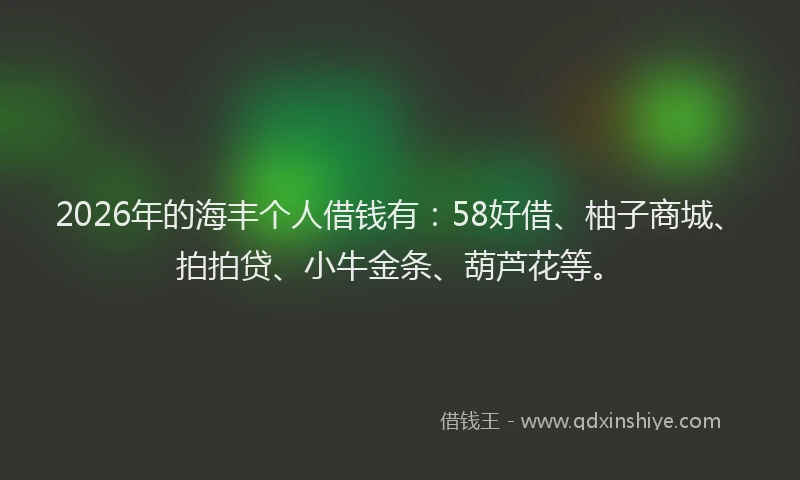 2026年的海丰个人借钱有：58好借、柚子商城、拍拍贷、小牛金条、葫芦花等。